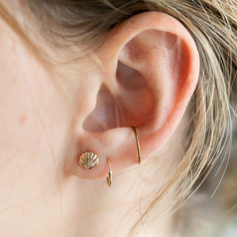 Boucles d'Oreilles Plaqué Or Petites Puces Coquillage