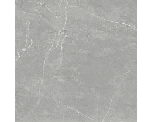 Steengoed wand- en vloertegel Davos grijs 60 x 60 x 0,9 cm glanzend