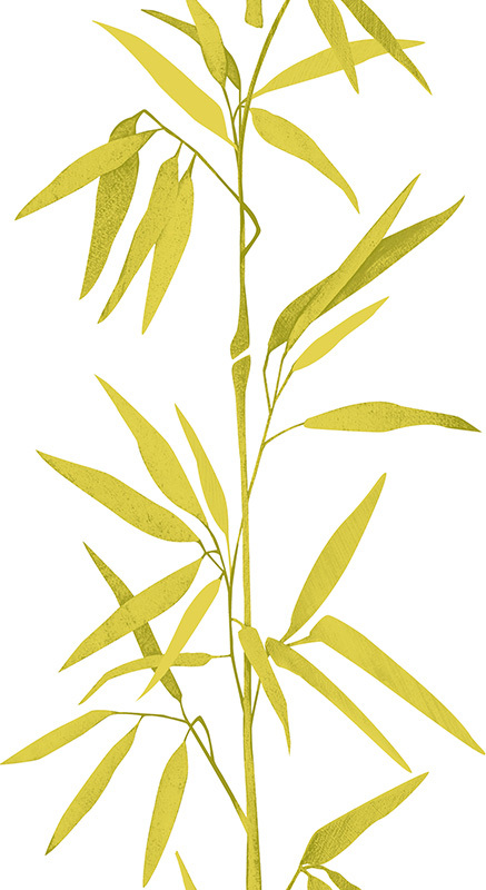 Panel POP.UP - Pflanze - grün-weiß - 2,5 Meter