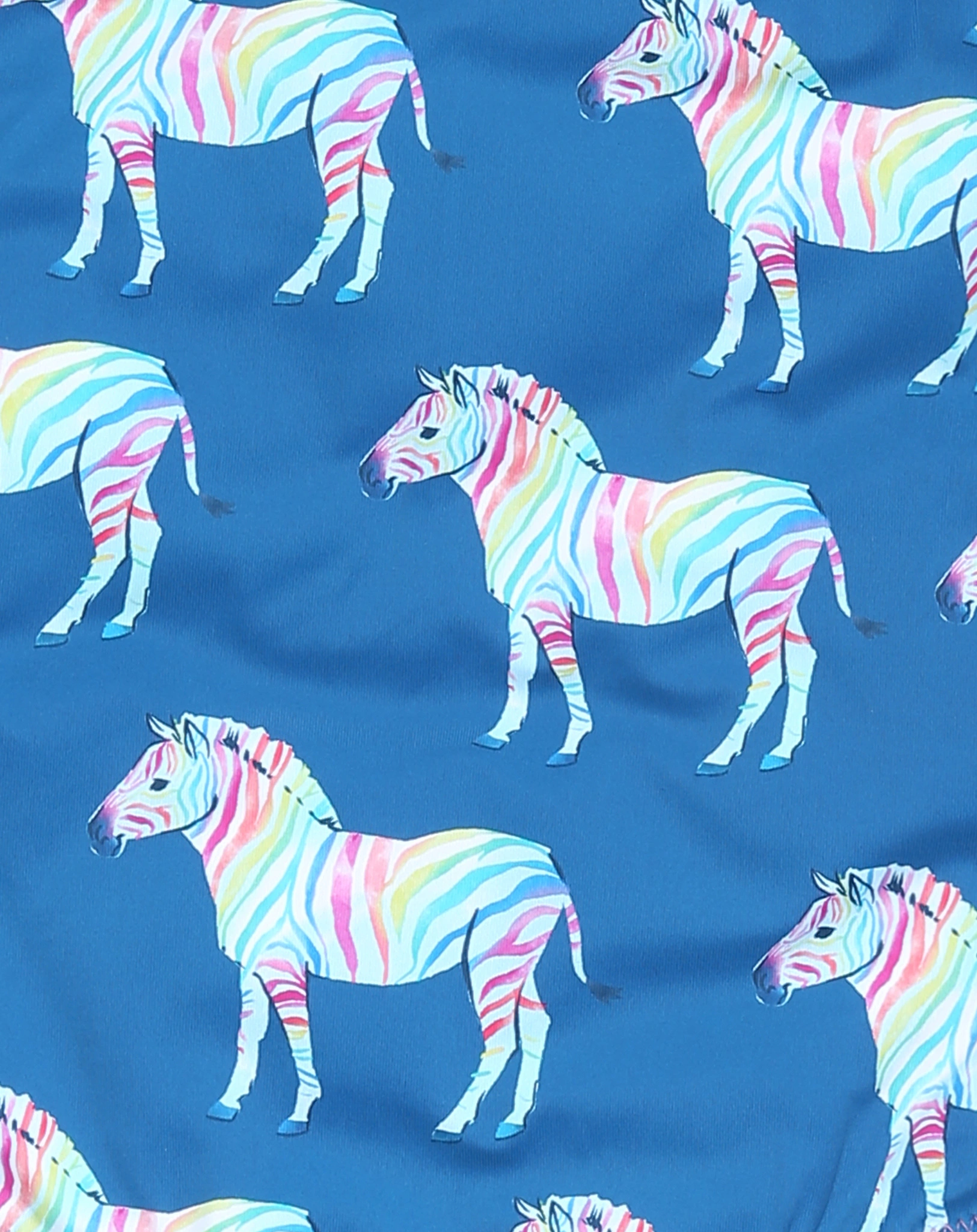 Badeanzug RAINBOW ZEBRA in blau
