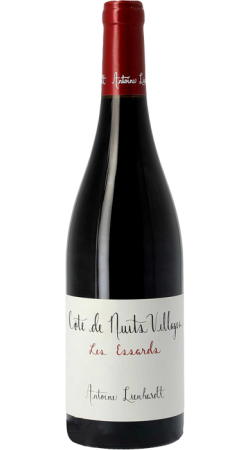 Domaine Antoine Lienhardt Côte de Nuits Village Rouge Les Essards 2022