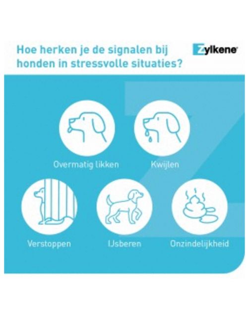 Zylkene Capsule 450 Mg - Anti stressmiddel - 450 g 30 caps Voor Grote Honden (15-60 Kg)
