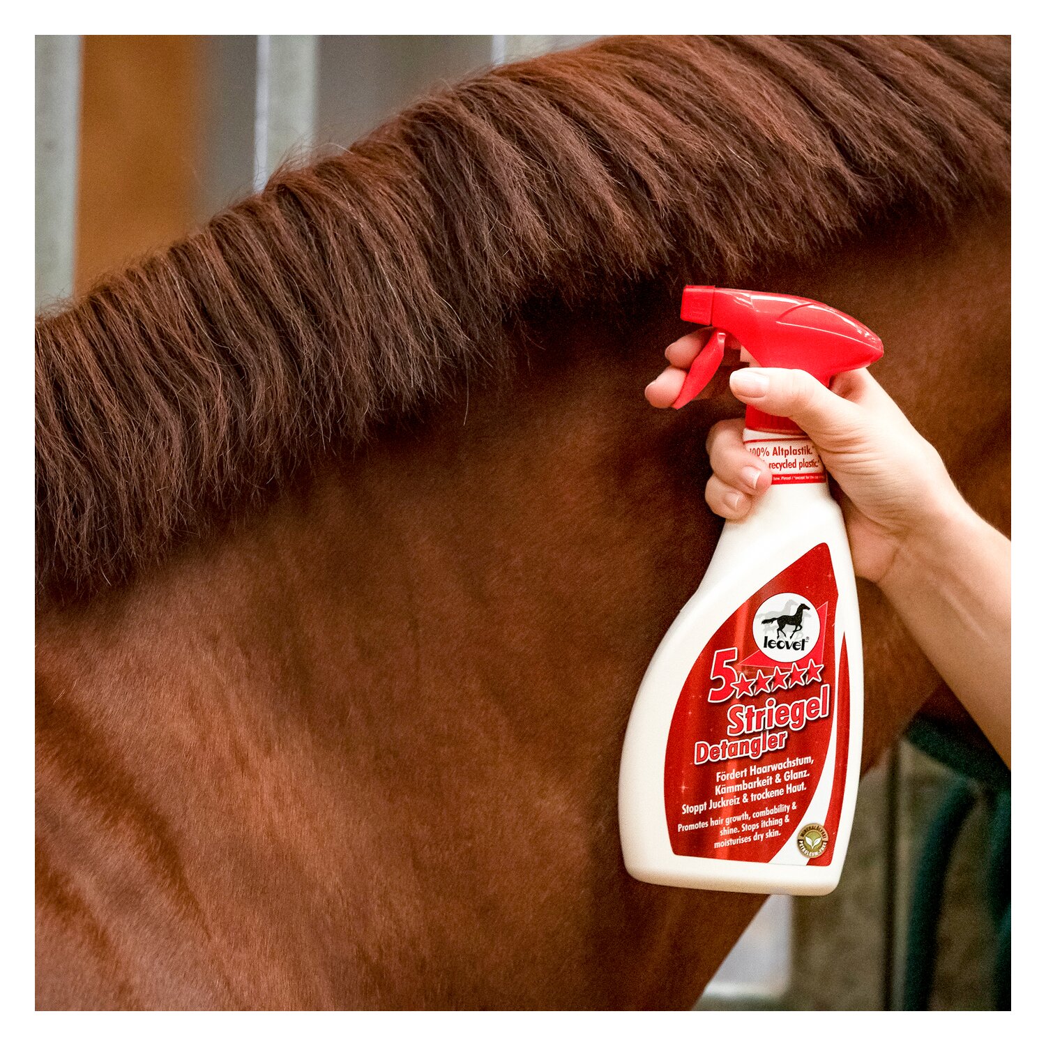leovet 5-Sterne Striegel Mähnenspray - 550 ml