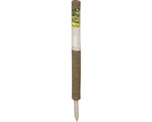 Kokosnoot plantensteker, FloraSelf Nature, H 80 cm Ø 45 mm, bruin, uitschuifbaar