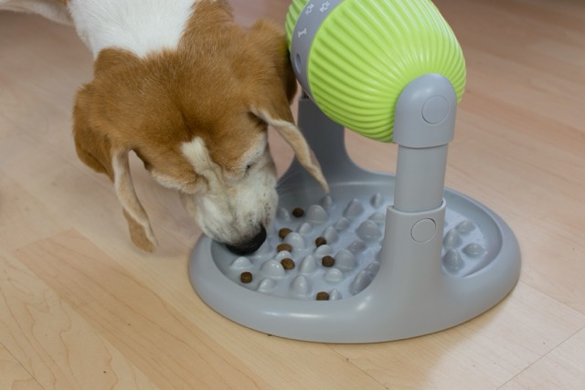 2in1 Pet Slow Feeder Strategiespiel Haustier Futter Spender Intelligenz Spielzeug Leckerli Automat für Hunde / Katzen (VMAVACIND0002)