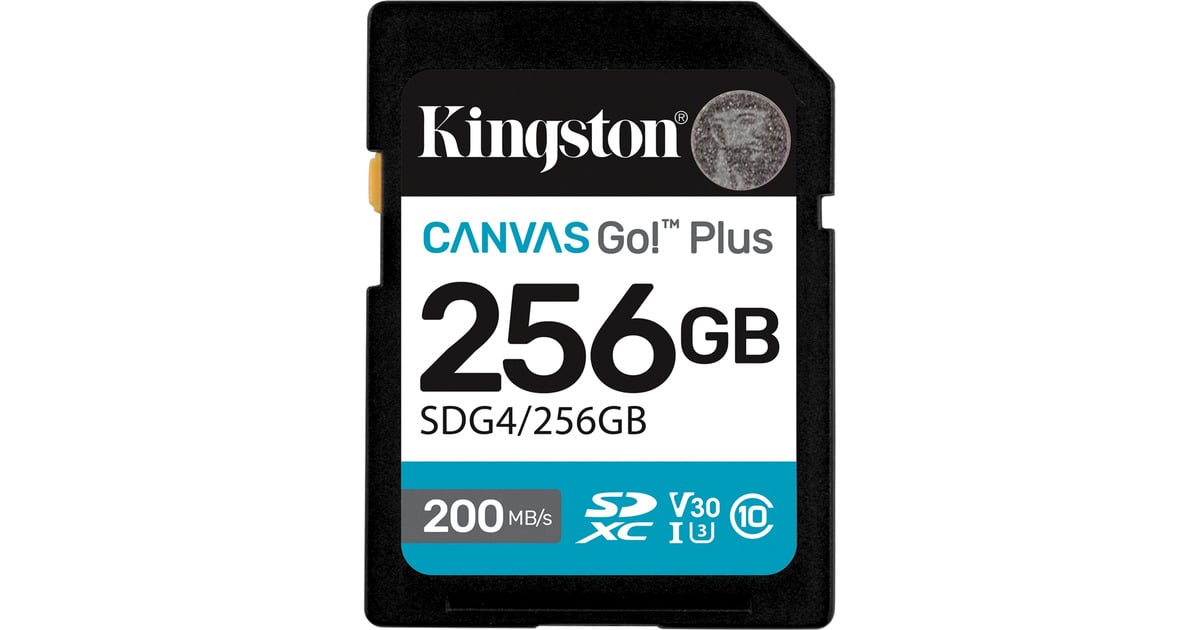 KingstonCanvas Go! Plus SDXC 256 GB geheugenkaart  (Zwart, Class 10, UHS-I U3, V30)
