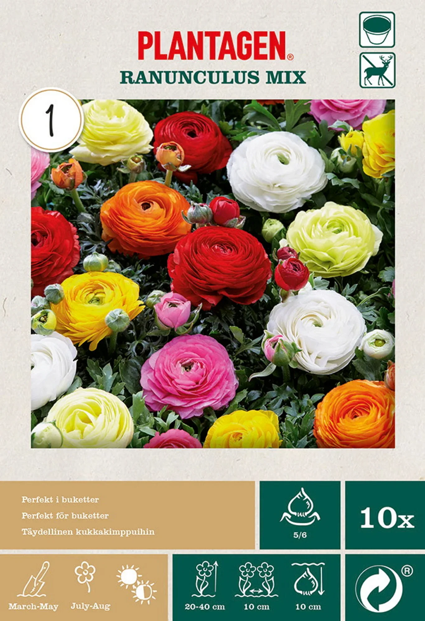 Plantagen Ranunkel miks