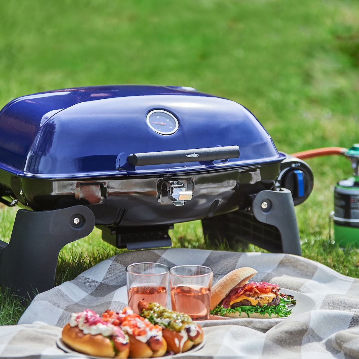 Gassgrill Hild