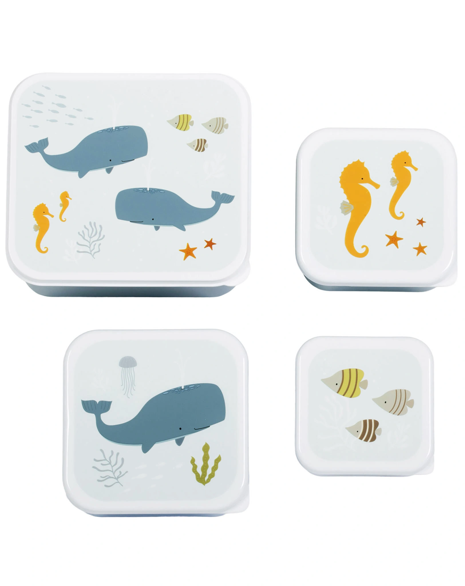 Snackdosen-Set OCEAN 4-teilig in hellblau