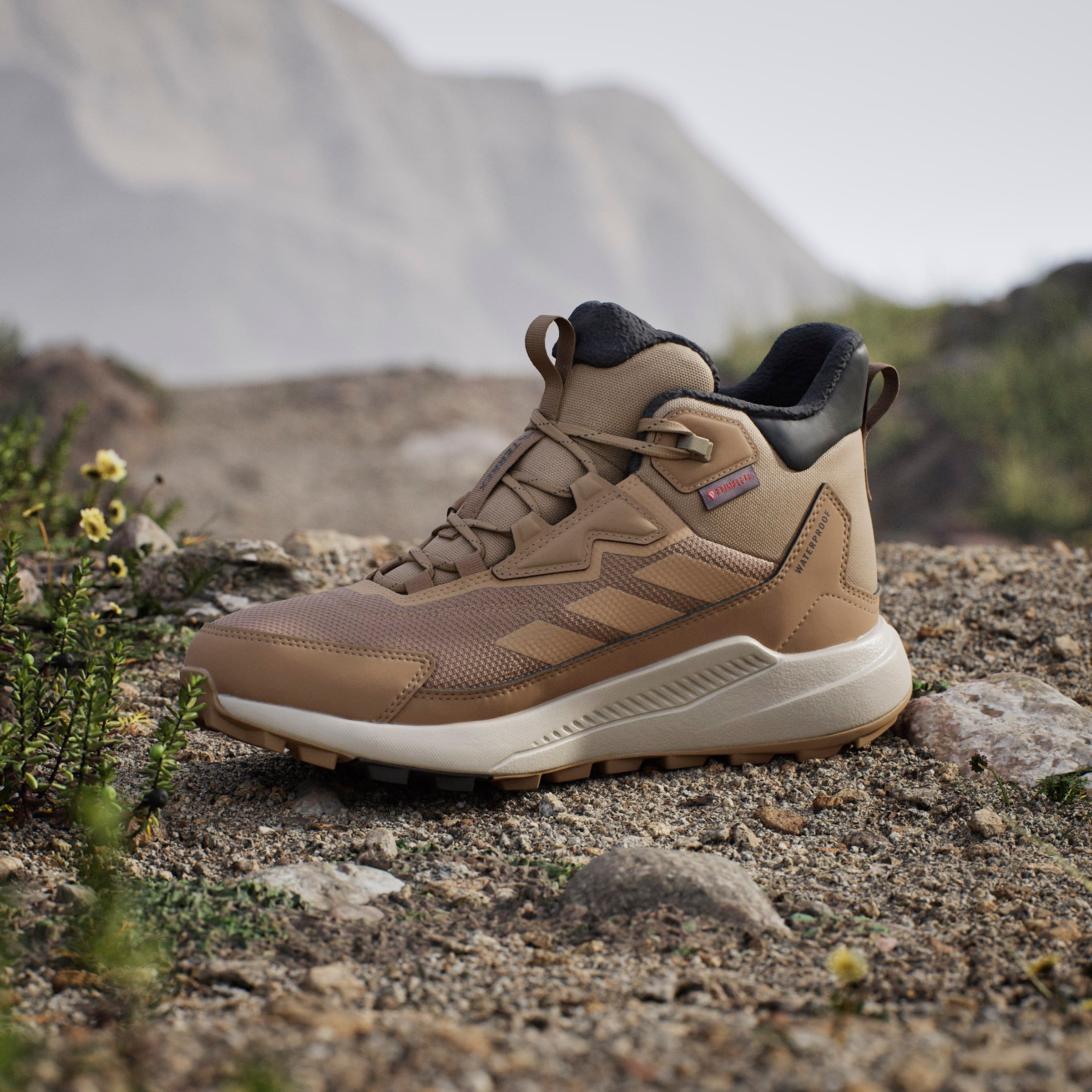 adidas TERREX Winterstiefel »TERREX ANYLANDER CLIMAWARM+«