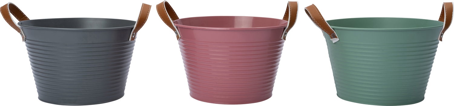 Intratuin plantenteil Radi groen D 23 H 15 cm