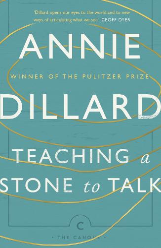 Teaching a Stone to Talk: Expeditions and Encounters - Canons (Paperback)