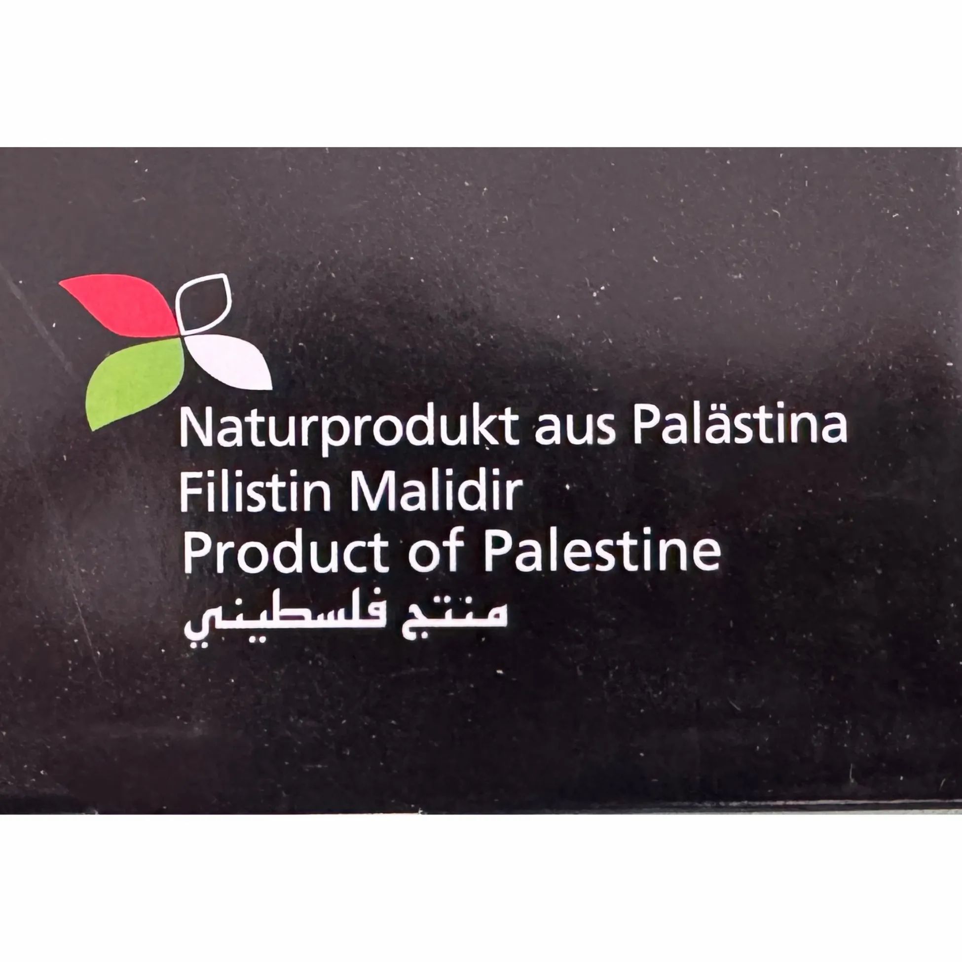 Galilee Medjoul Datteln