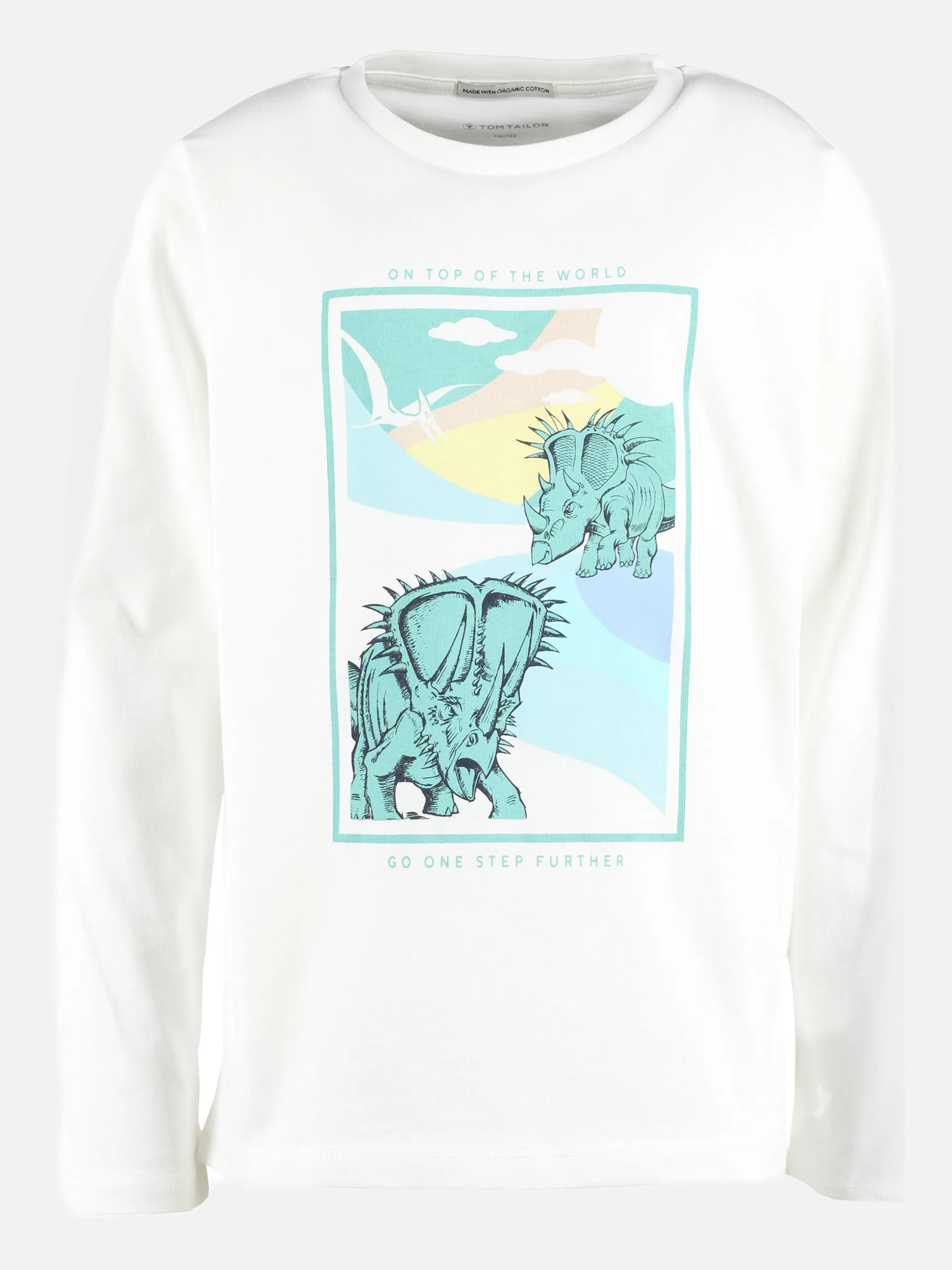 Jungen Longsleeve mit Dinoprint