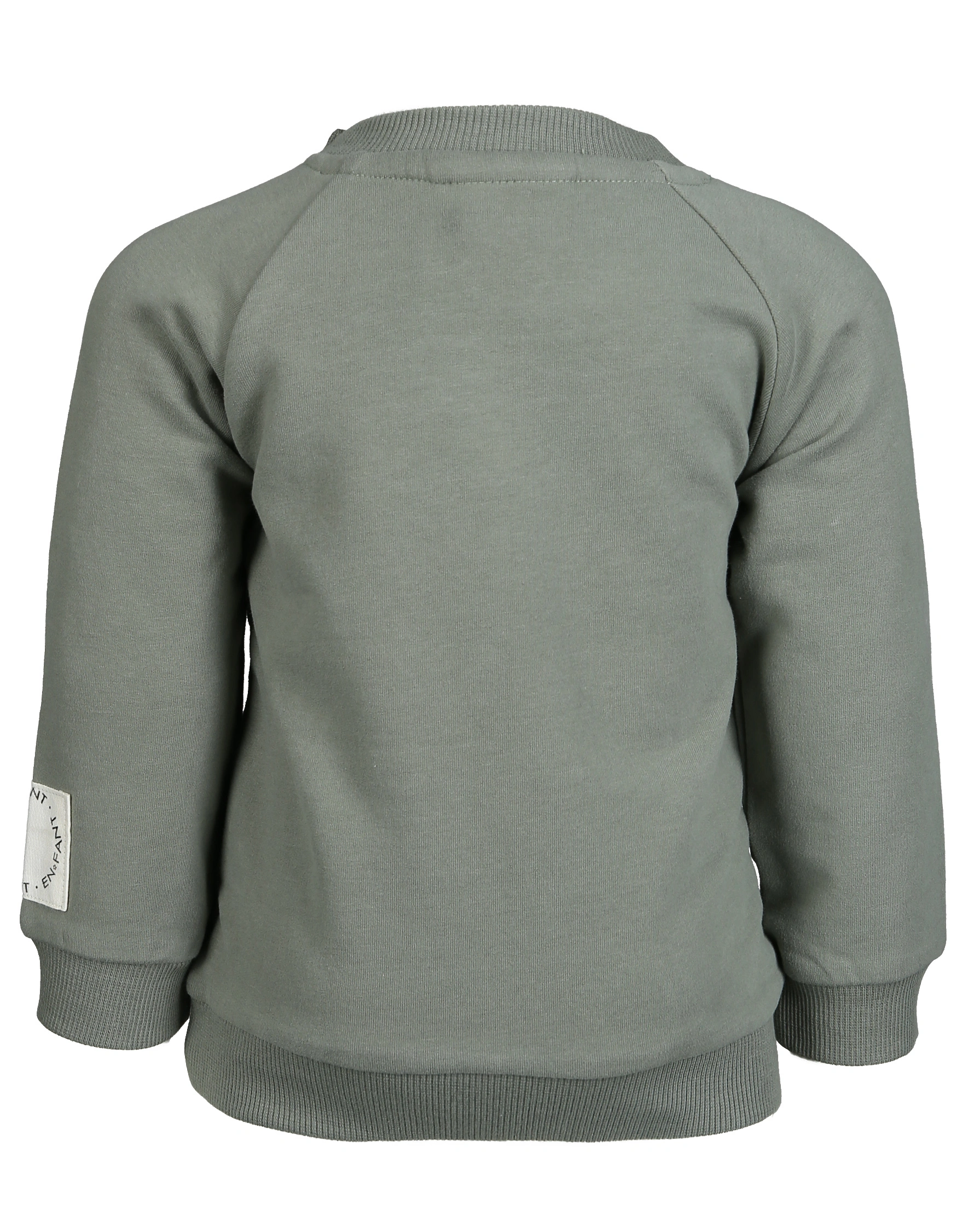 Sweatshirt SCHILDKRÖTE in sea spray