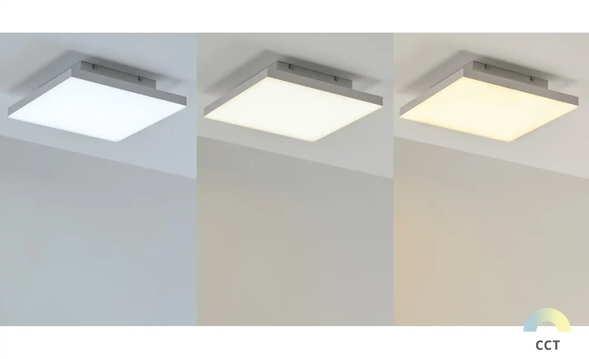 Paul Neuhaus LED-Deckenleuchte weiß
