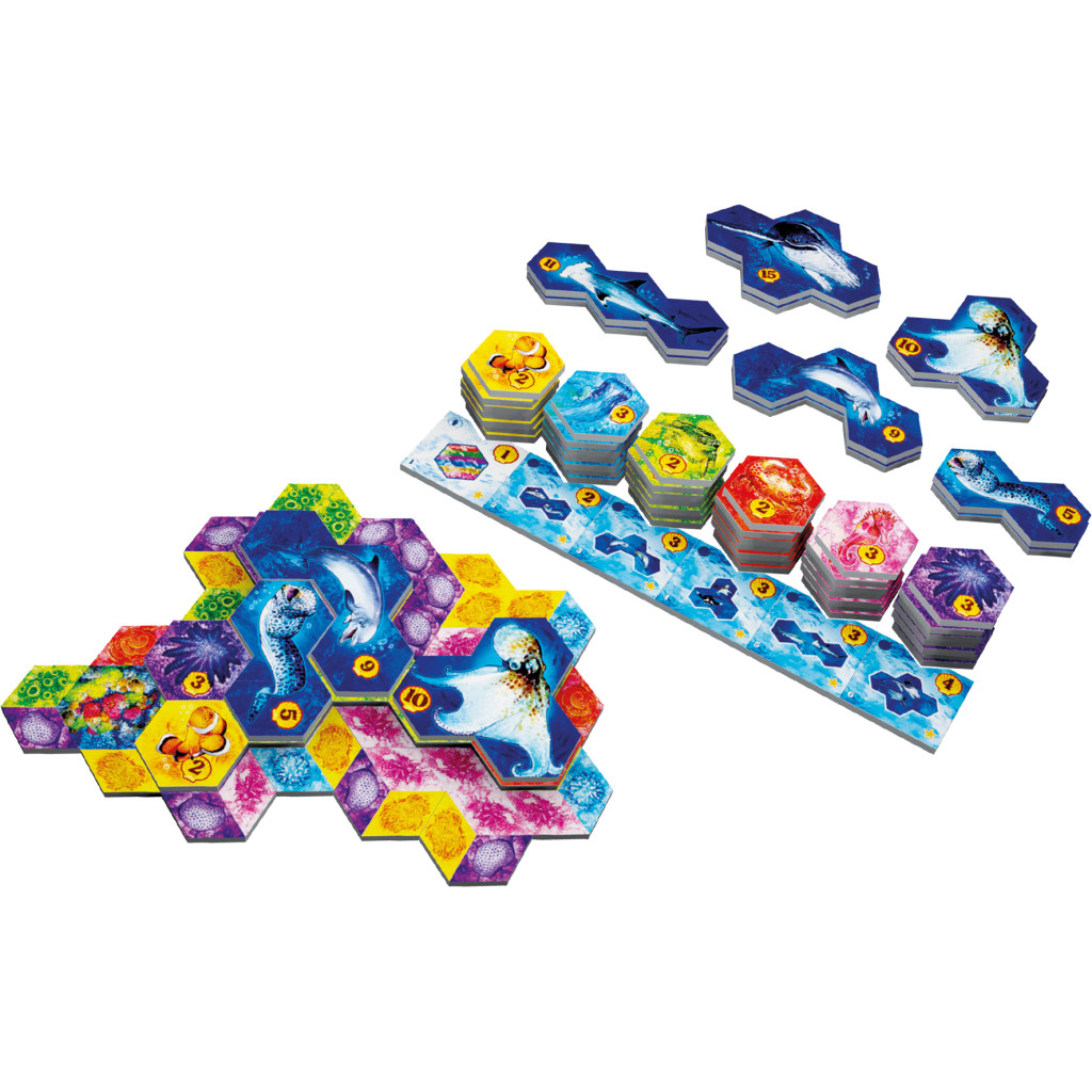 Aqua - Le jeu de la biodiversité marine - Occasion