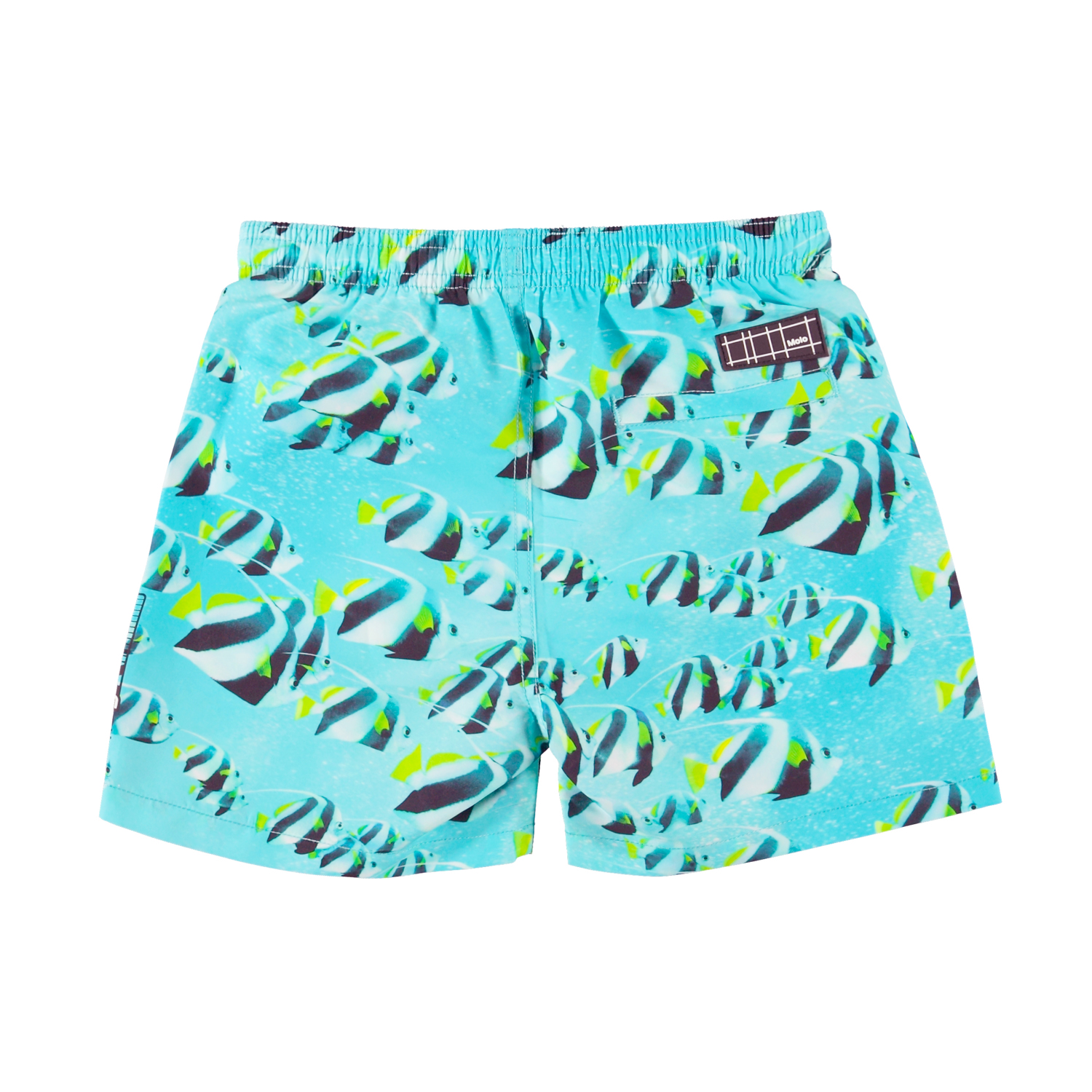 Niko - Fishing Shoal