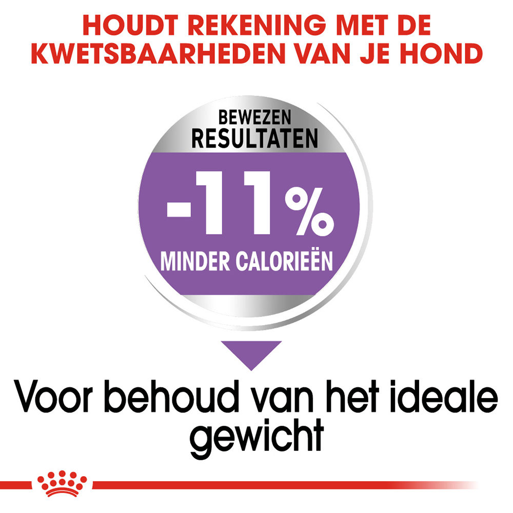 Royal Canin X-Small Sterilised - Hondenvoer
