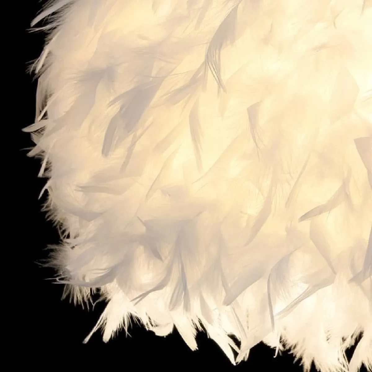 Stoex Plumes