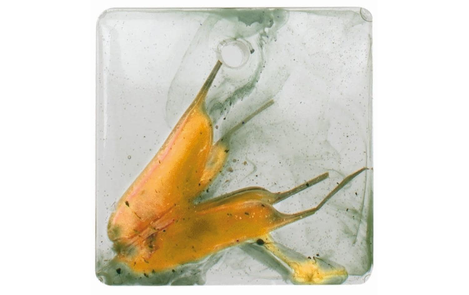 Form aus Silikon 15.5 x 11.5 cm, 12-teilig, AnhängerGiessform