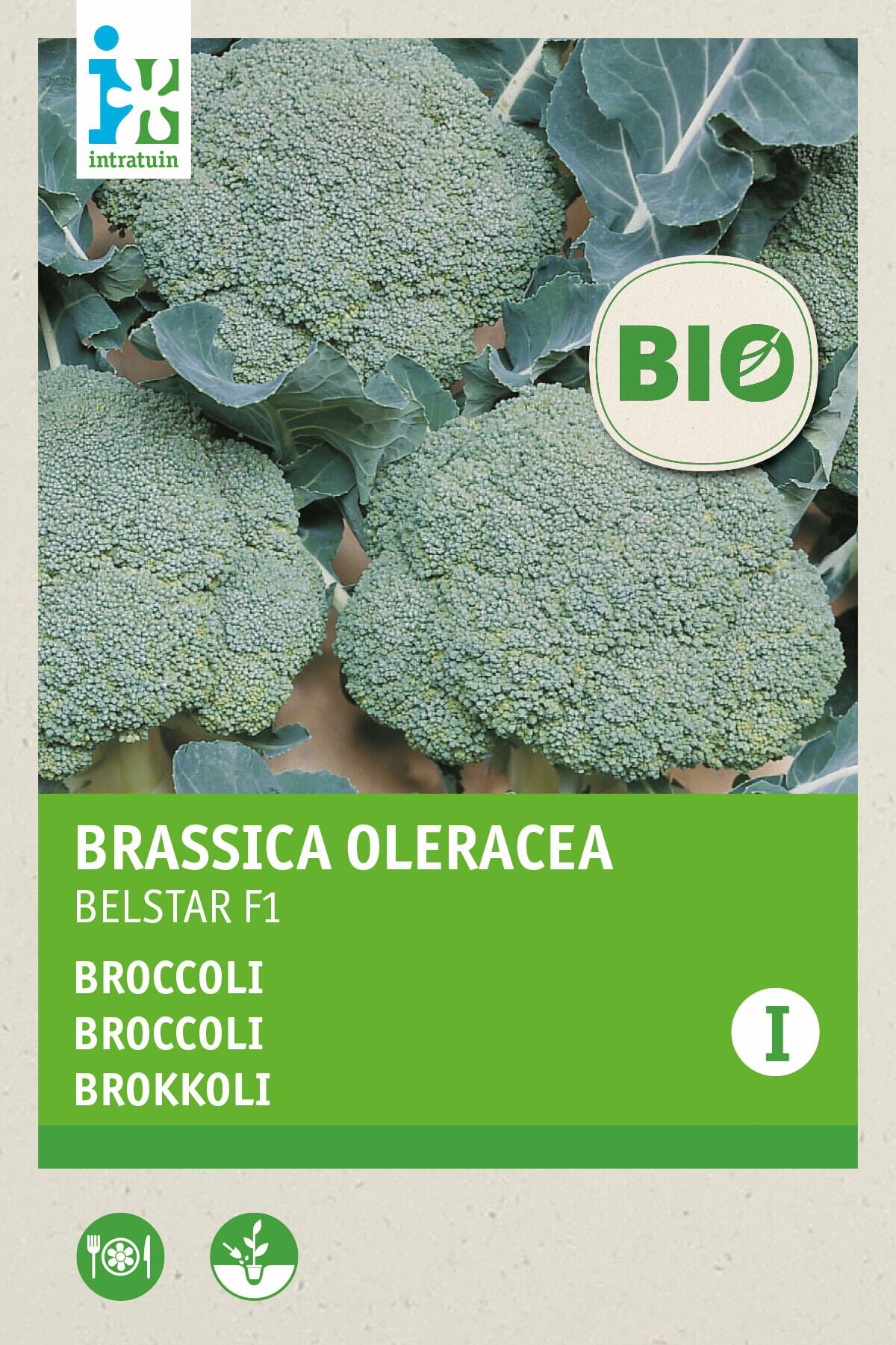 Intratuin biologische groentezaad Broccoli (Brassica oleracea 'Belstar F1')