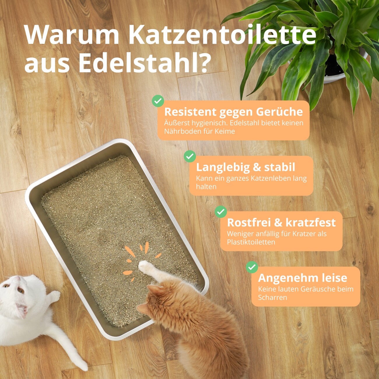 Schlitzohr Premium Edelstahl Katzentoilette Lotte - XXL