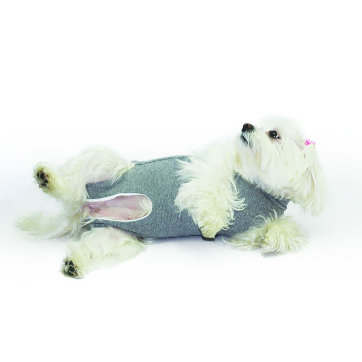 Fashion Dog Cura Pets OP- und Wundschutz-Body für Hunde und Katzen