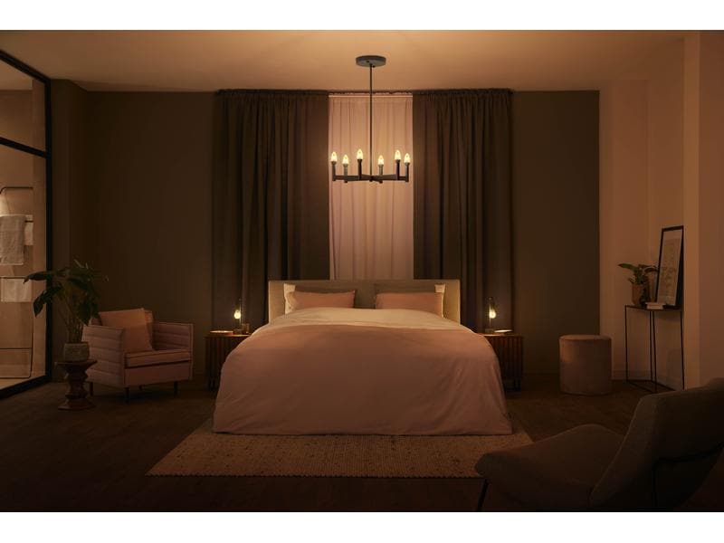 Philips Hue Leuchtmittel White Ambiance E27 Einzelpack Fila Filamentleuchtmittel mit E27 Sockel