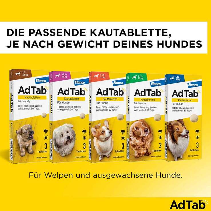 AdTab Kautabletten für mittelgroße Hunde 225 mg 5,5 bis 11 kg, 3 St