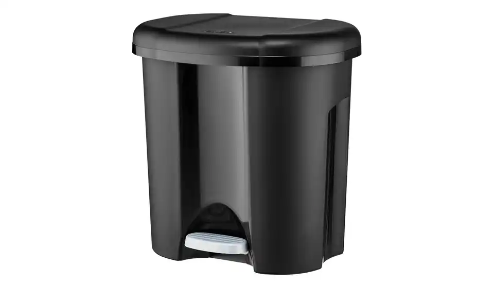 Rotho Abfalleimer 2x10 l Duo