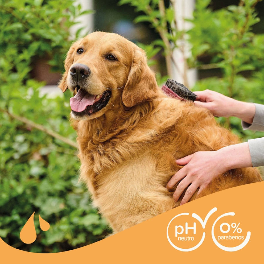 Shampoo Beaphar para pelos castanhos de cães