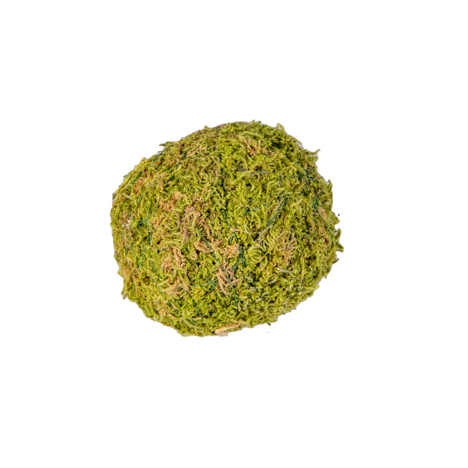 Deko Mooskugel - ca. 10 cm