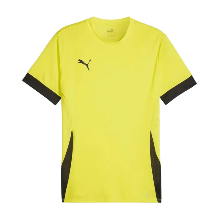 Puma TeamGOAL Matchday Shirt Heren