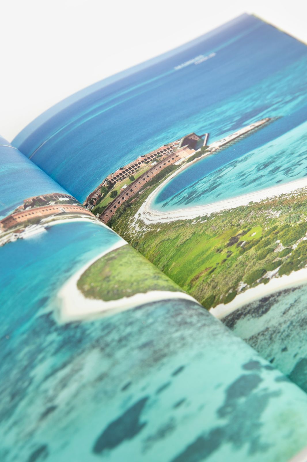 Boek Palmtree Destinations
