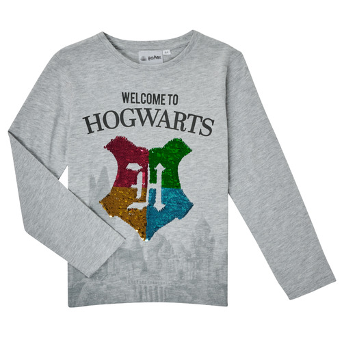 TEAM HEROES  - T-SHIRT HARRY POTTER - Gris