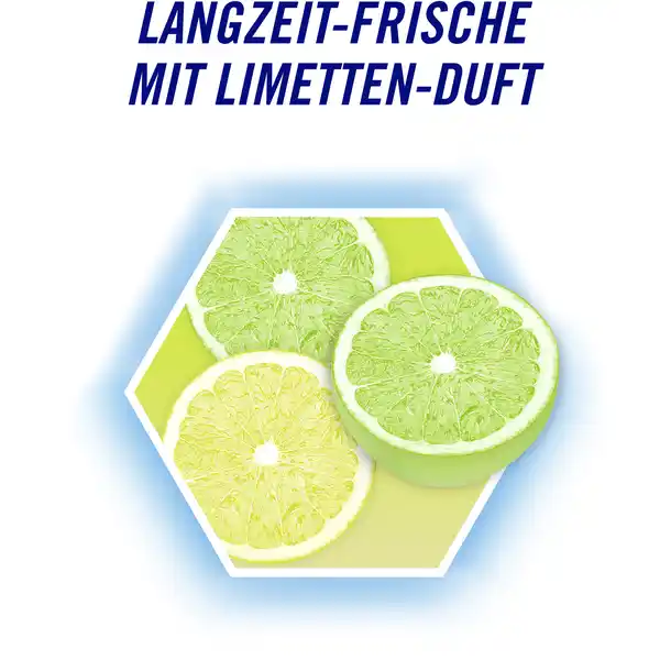 Power 5 WC-Stein Limette Megapack