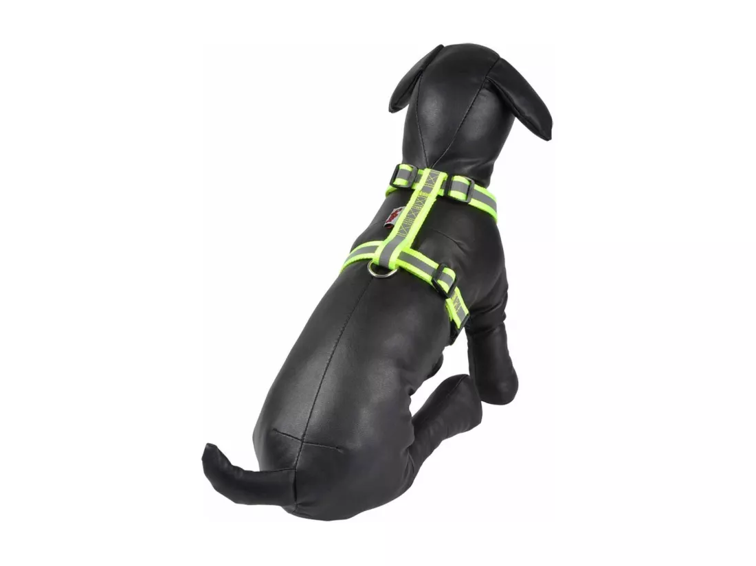 Harnais pour Chien 