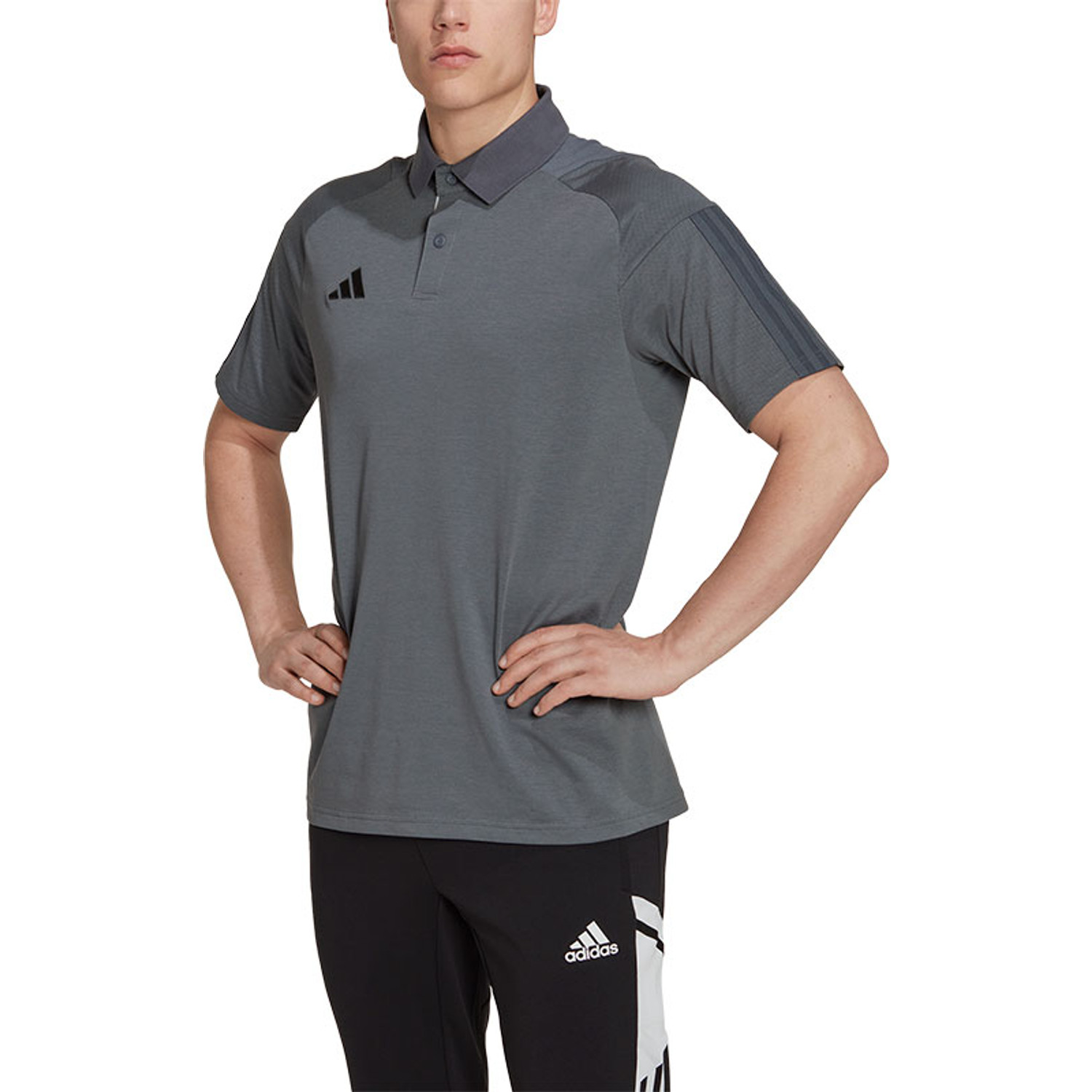 adidas Tiro 23 Competition Polo