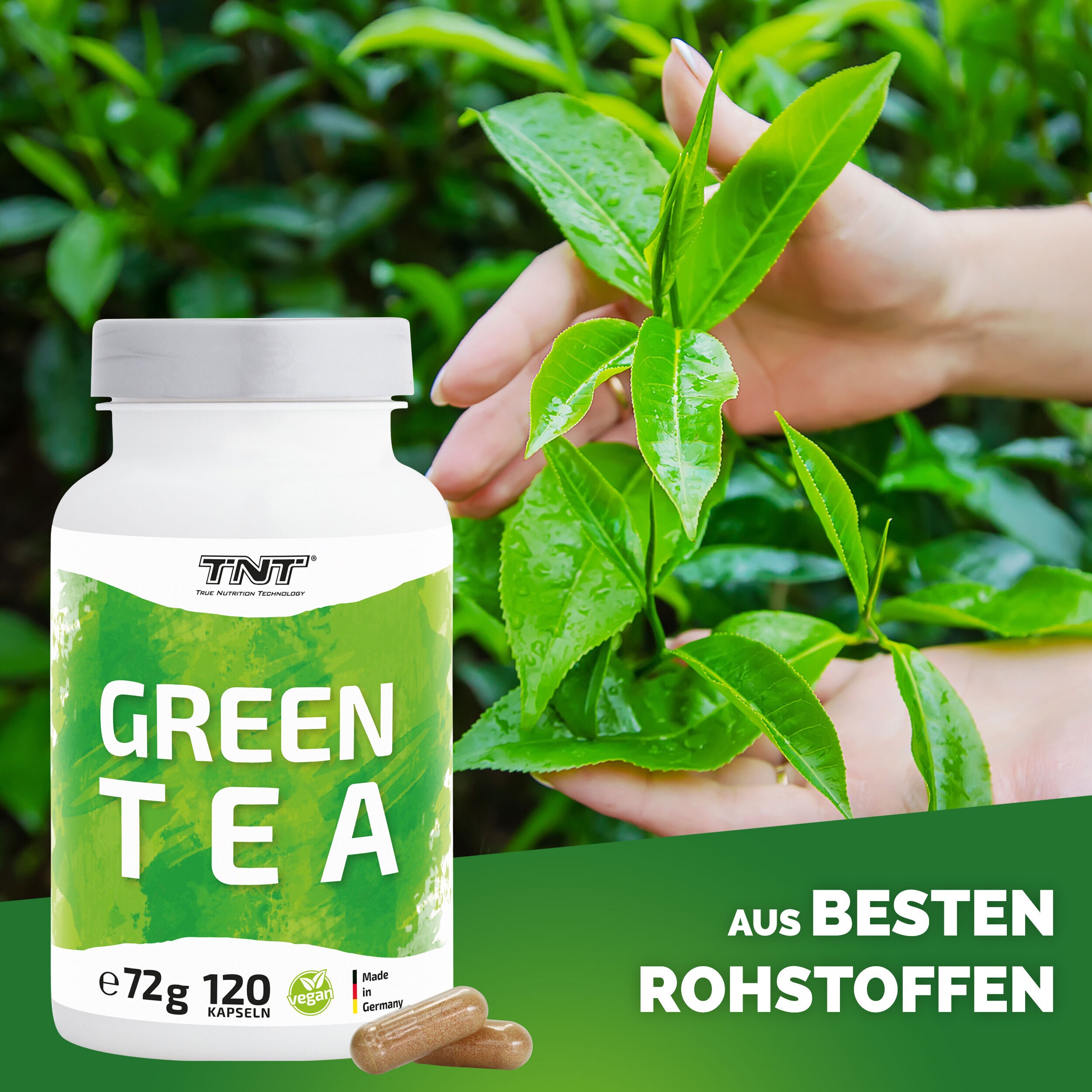 TNT Green Tea Kapseln kann bei Fettverlust unterstützen, schützt vor oxidativem Stress