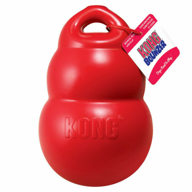 KONG Bounzer jouet dentaire résistant pour chien
