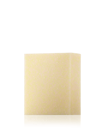 Christophe Robin Hydrating Shampoo Bar with Aloe Vera 100ml