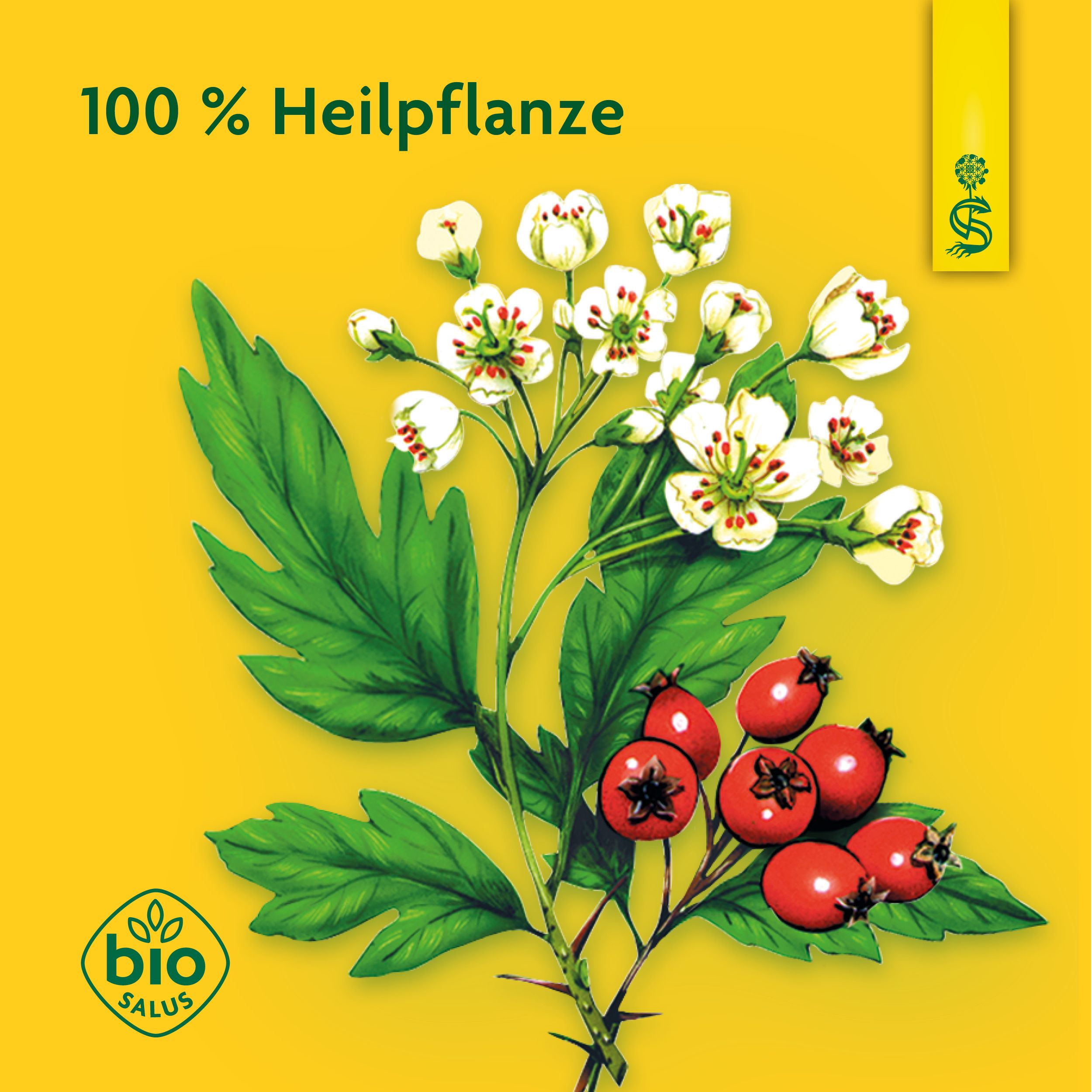 Schoenenberger® Heilpflanzensaft Weißdorn