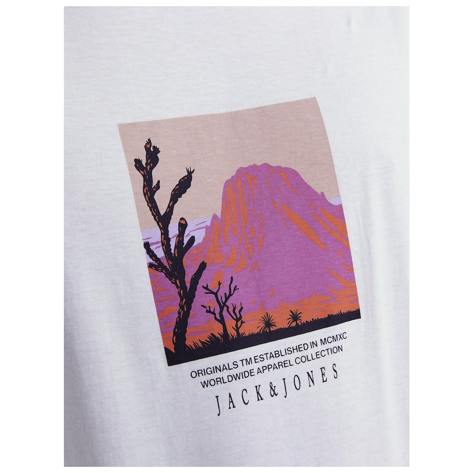 Jack & Jones JORLUCCA GRAPHIC TEE SS CREW N