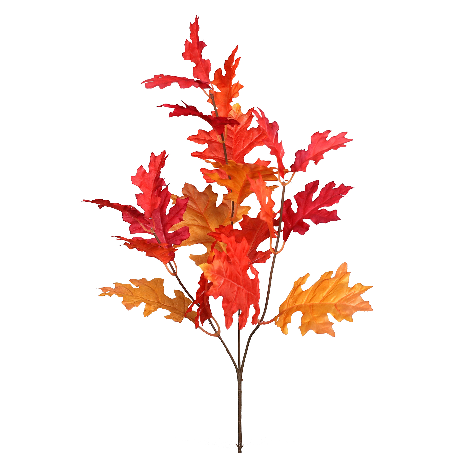 Eichelzweig - orange - 70 cm hoch