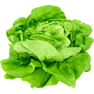 Jumbo Kropsla