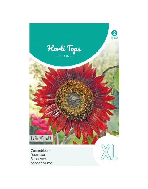 Hortitops Helianthus - Zonnebloem Evening Sun\/Avondzon - Bloemenzaden - 2 g