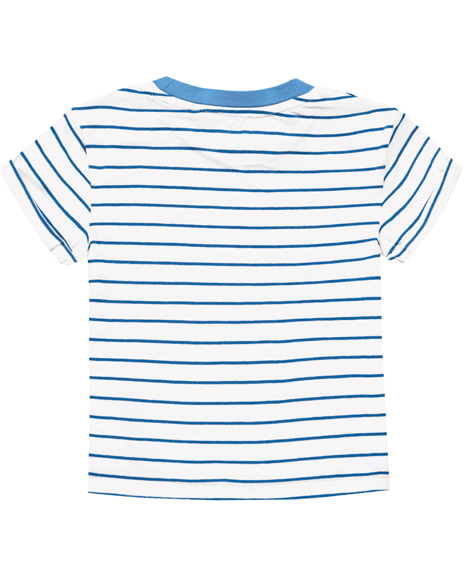 T-Shirt SPRINGTIME gestreift in silver lake blue