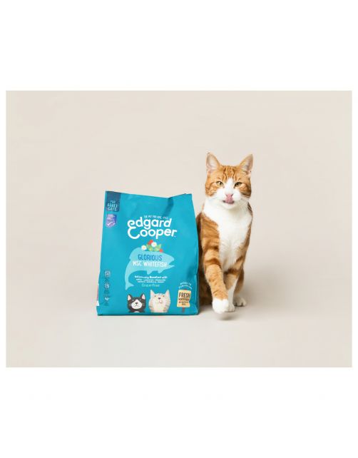 Edgard&Cooper Adult Witvis - Kattenvoer