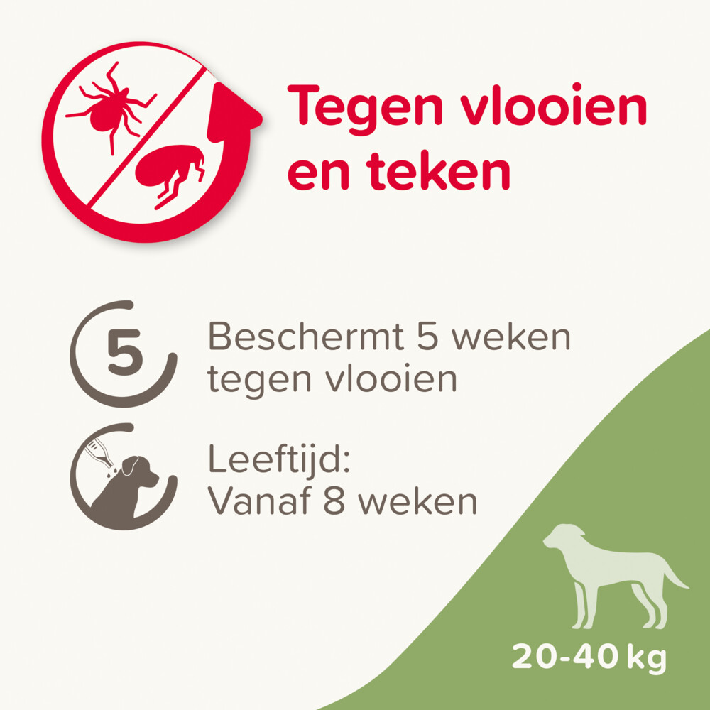 Beaphar Fiprotec Anti Teken- en Vlooiendruppels Hond 20 - 40 kg4 stuks